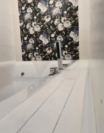 Simone 레체